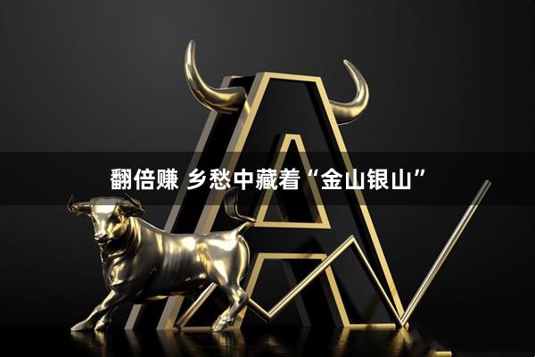 翻倍赚 乡愁中藏着“金山银山”