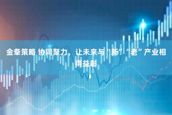 金夆策略 协同聚力，让未来与“新”“老”产业相得益彰