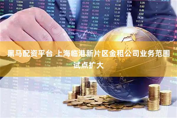 黑马配资平台 上海临港新片区金租公司业务范围试点扩大