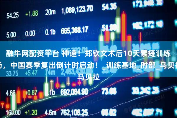 融牛网配资平台 神速！郑钦文术后10天累瘫训练场，中国赛季复出倒计时启动！_训练基地_肘部_马贝拉