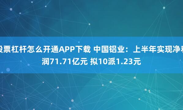 股票杠杆怎么开通APP下载 中国铝业：上半年实现净利润71.71亿元 拟10派1.23元